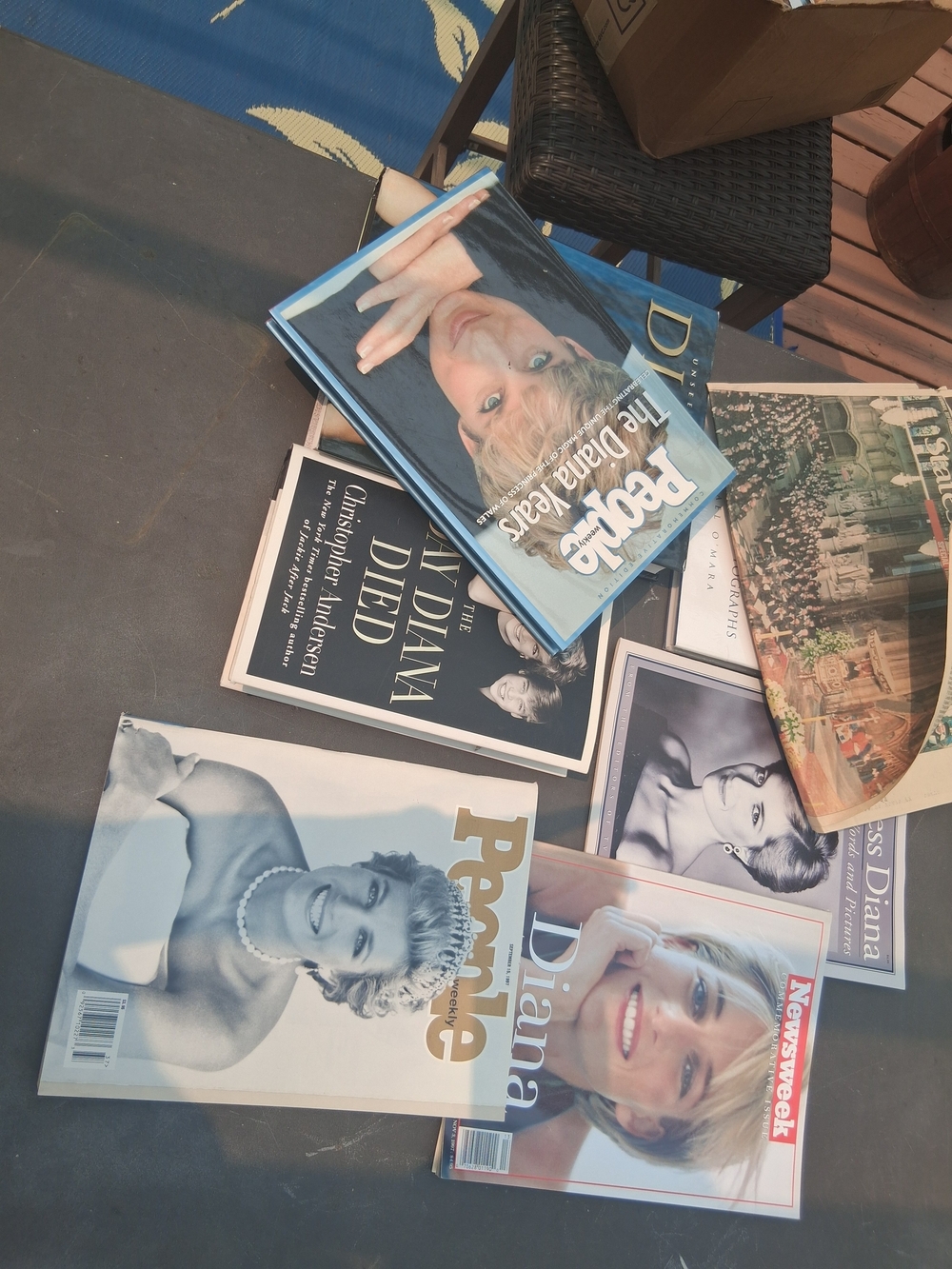 princess diana ty and books